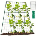 Ansamblu suport araci cu plasă pentru castraveți și fasole, 150×150 cm