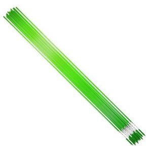 Set 20 suporți pentru plante, fibră de sticlă, 180 cm, verde
