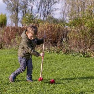 Joc de crochet din lemn, cu 4 ciocănașe, 4 bile și 10 porți, Egmont Toys