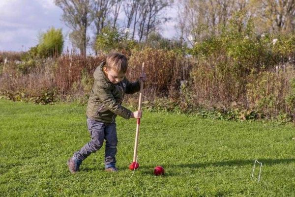 Joc de crochet din lemn, cu 4 ciocănașe, 4 bile și 10 porți, Egmont Toys
