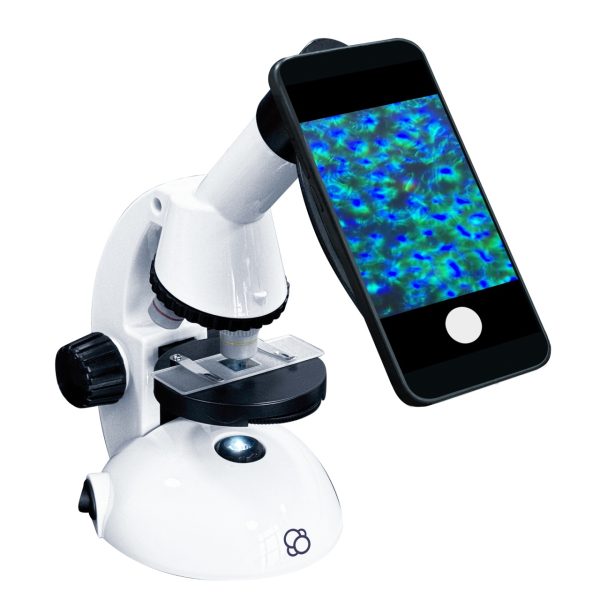 Microscop pentru copii cu mărire până la 600x și adaptor pentru telefon, Thames & Kosmos