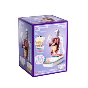 Set STEM de anatomie umană, model puzzle 3D cu 15 organe, TopBright ScienceCan