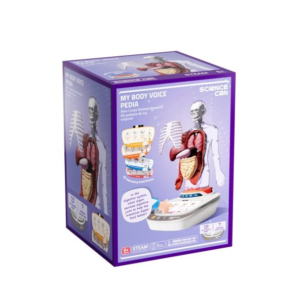 Set STEM de anatomie umană, model puzzle 3D cu 15 organe, TopBright ScienceCan